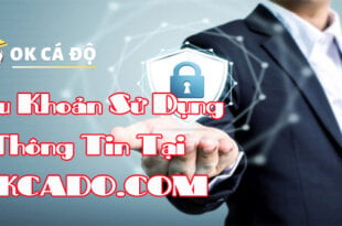 Điều khoản sử dụng