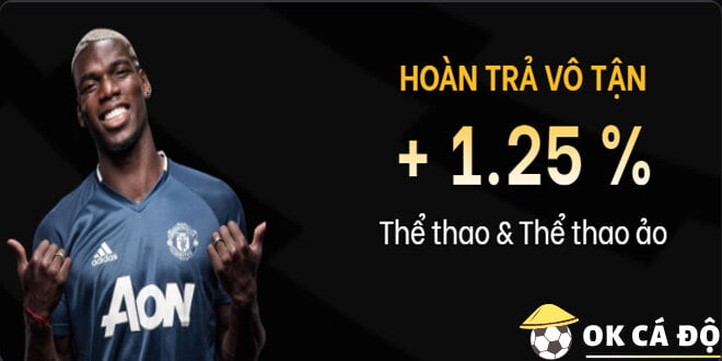 mu9-hoan-tra