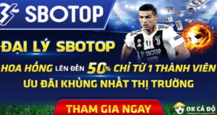 đại lý sbotop