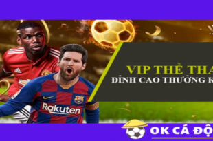 Trang VX88 thuong khung VIP The Thao sieu lon.