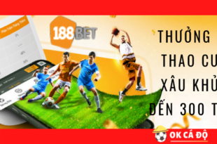 188Bet.com Thuong The Thao Cuoc Xau khung den 300 Trieu