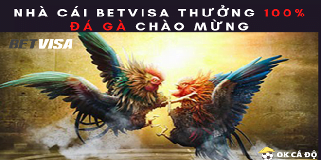 Nha cai BetVisa Thuong 100 Da Ga chao mung
