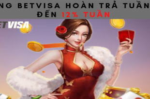 Trang BetVisa hoan tra Tuan len den 12 Tuan.