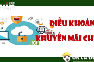 Điều Khoản khuyến mãi chung VWIN