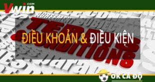 Điều khoản và điều kiện VWIN