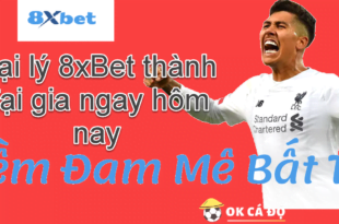 Dai ly 8xBet thanh dai gia ngay hom nay