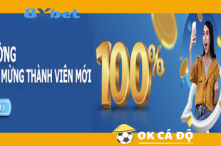 Nha cai 8xBet 978Bet cu tang thuong 100 cho thanh vien moi
