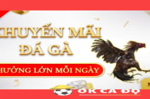 Nha cai 33BET thuong Da Ga sieu lon moi ngay