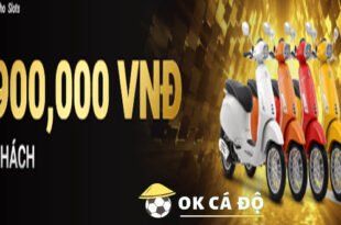 Nha cai WY88 tang Vespa khi hoan thanh thu thach