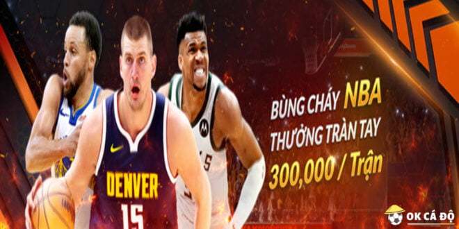 Vwin cược bóng rổ NBA 2